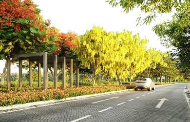 Imagem 6: Loteamento Cidade Laguna As Margens Da Ce085,Venha Adquirir O Seu Lote Com Parcelas Que Ca