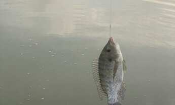 Imagem 5: *Oportunidade ** Terreno Chã Grande - Condomínio Jardins do Valle