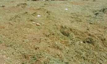 Imagem: Vende -se Terremo 720 metros Maria Teresa