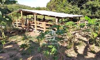 Imagem 6: Sítio em Conceição do Pará 60 mil metros com excelente propriedade e muita água