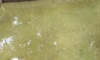 Imagem 4: Sítio próximo a Nova Timboteua , na rodovia que vai a salinas