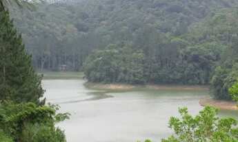 Imagem 7: Belíssima propriedade na represa! Ótima para hotel, camping, pousada, lazer (1 alq