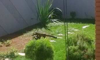 Imagem 6: Excelente casa, lote 360m2, 3qts, 2 vagas