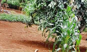 Imagem 2: Vendo chácara escriturada