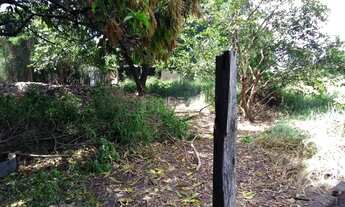 Imagem 4: Propriedade Rural em Parque Aeroporto - Campos dos Goytacazes