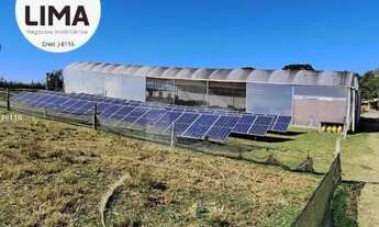 Imagem 3: Chácara 36.000m² formada com ORQUIDÁRIO Col igueiredo Campo Largo venda deporteira fechada