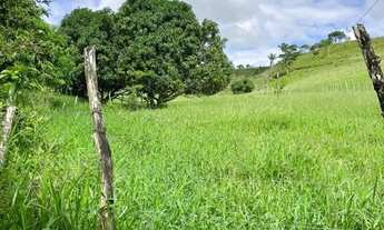 Imagem 4: Sítio para Venda em Flexeiras, Zona Rural, 3 dormitórios, 1 banheiro, 1 vaga