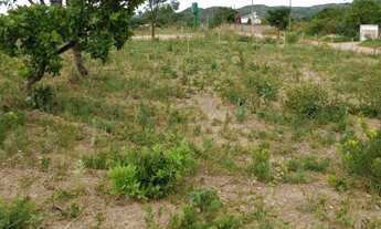 Imagem 2: Venda de lotes sabona sobradinho dos melos