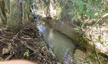 Imagem 6: Fazenda 29 alqueires São miguel passa 4 e vianopolis