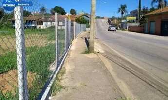 Imagem 2: Terreno á venda na Rota do Vinho !