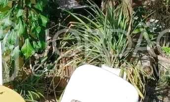 Imagem 4: Casas, 4 Dormitórios