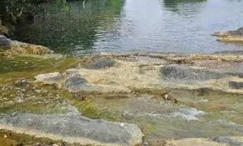 Imagem 6: Rancho no Zico Estevão próximo a Unaí MG