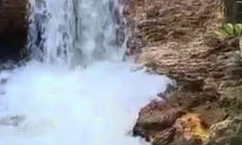 Imagem 5: Lote Ponte Alta Norte