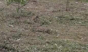 Imagem 5: Vendo chácara Chácara com venda por R$400.000