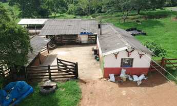 Imagem 5: Fazendinha px Interlândia