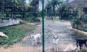 Imagem 4: NISIA FLORESTA/RN Lote com 591,98m² no Condomínio Veredas do Lago Azul