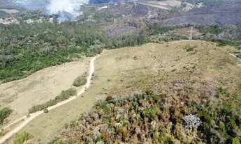 Imagem 2: LIBERDADE E CONEXÃO COM A NATUREZA