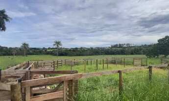 Imagem 5: Sítio monte Carmelo