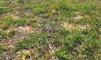 Imagem 5: Fazenda à venda, Zona Rural - Patrocinio/MG