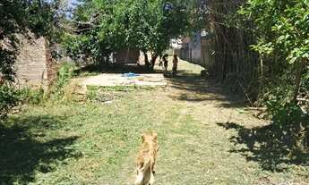 Imagem 3: Terreno 11x160 com 2 casas