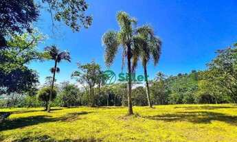 Imagem: Sítio de 3 hectares em Morungava