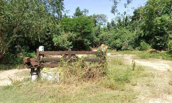 Imagem 3: Chácara pesqueira medindo 160 x 30 (4.800 M²), nas margens do rio CuiabáMT