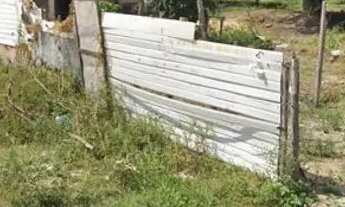 Imagem 3: TERRENO NA CIDADE OPERÁRIA