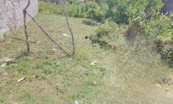 Imagem 3: TERRENO NA TAICOCA DE FORA