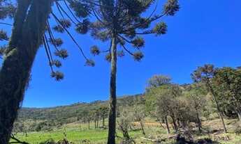 Imagem 7: Urubici- Terreno