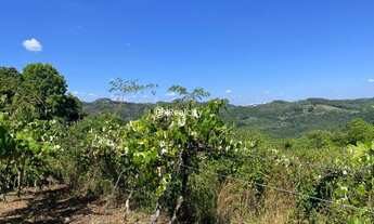 Imagem 7: VALE DOS VINHEDOS (BENTO GONçA - Terreno Padrão - Vale Dos Vinhedos