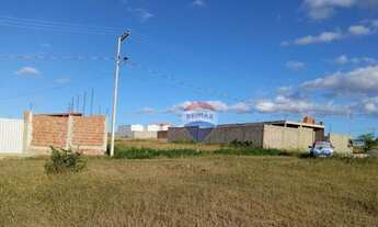 Imagem 3: Excelente Terreno à venda com 160 m² na Vila Maria da Luz