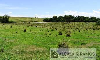 Imagem 5: Haras para venda tem 800 metros quadrados em Área Rural de Tatuí - Tatuí - SP