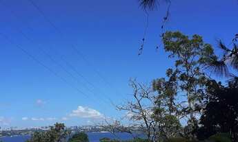 Imagem: Ótima Oportunidade para Uso Comercial Ou