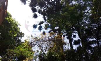 Imagem 5: Apartamento Padrão para Venda em Vila do Castelo São Paulo-SP - 1819