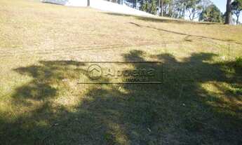 Imagem 3: BARUERI - Terreno Padrão - Aldeia da Serra