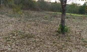 Imagem 4: Fazenda 900 hectares a venda em Várzea da Palma