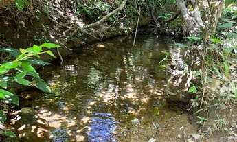 Imagem 5: Fazenda a venda com 113 hectares Zona Rural - Acorizal - MT