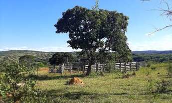 Imagem 6: Fazendinha para venda tem 20000 metros quadrados em Amanda - Baldim - MG