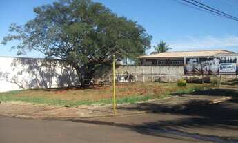 Imagem 2: Sertãozinho - Lote/Terreno - Centro