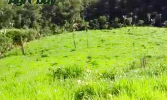 Imagem 4: Fazenda 1033 Alqueires em Dianópolis to