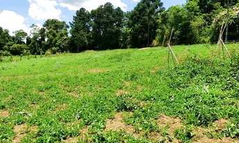 Imagem 2: Vendo terreno 2.000m2