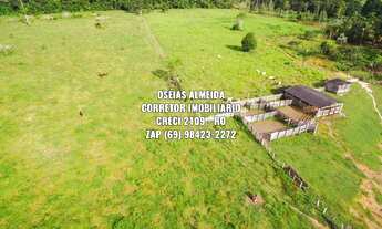 Imagem: 69 Alqueires entre Ariquemes e Vale do Anari