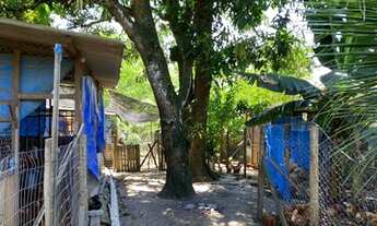 Imagem 5: Excelente terreno em Porto da Roça!!!