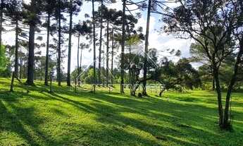 Imagem 5: Sítio / Chácara para Venda em Piraquara, Vila Fuck