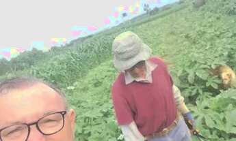 Imagem 4: Chácara INCRA nove 1 hectare com casa de 1° R$:490 mil