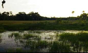 Imagem 4: Vendo terreno no km12