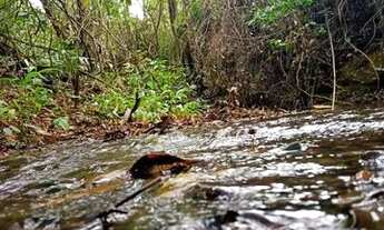 Imagem 3: Sítio na serra do cipó