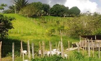 Imagem 2: Sitio pra vender