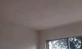 Imagem 4: Alugo casa linda