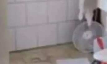 Imagem 5: Ótima casa em Itapoan, Salvador. Um quarto